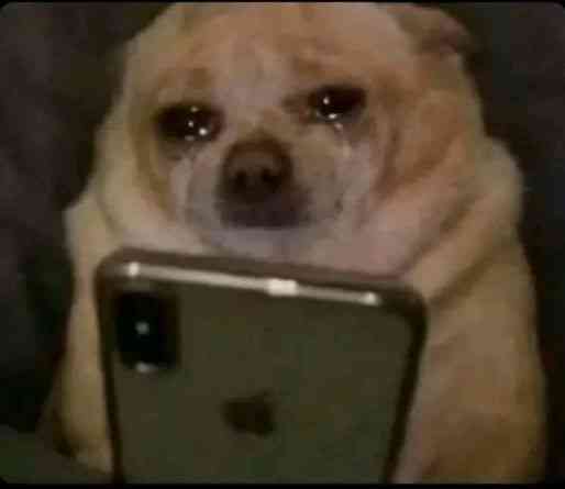 When you found out she's cheating on you 2 hours after you just sent girlfriend allowance | MirrorLog